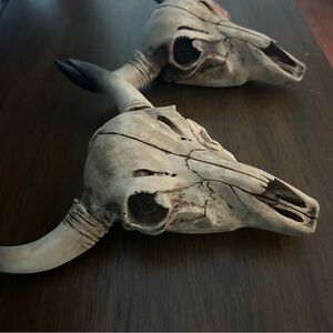 Rustic Small Bull Skull Decor